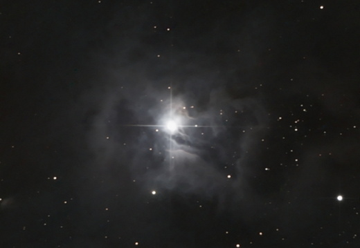 NGC7023 (Iris Nebula)