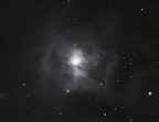 NGC7023 (Iris Nebula)