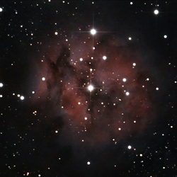 IC5146 (Cocoon Nebula)