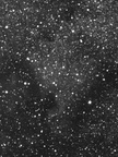 C20 (North American Nebula)