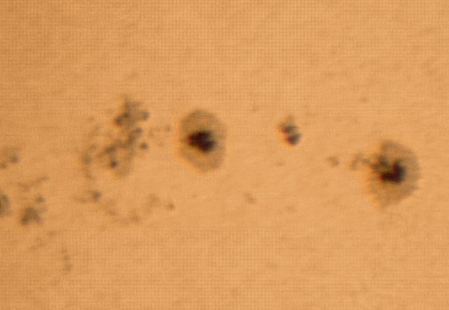 Sun 140-images Barlow01 060407