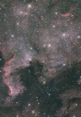 ngc7000 Four Panel Mosaic
