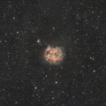 IC5146