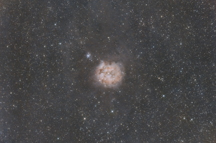 IC5146