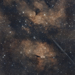 Barnard 347 (Butterfly Nebula)