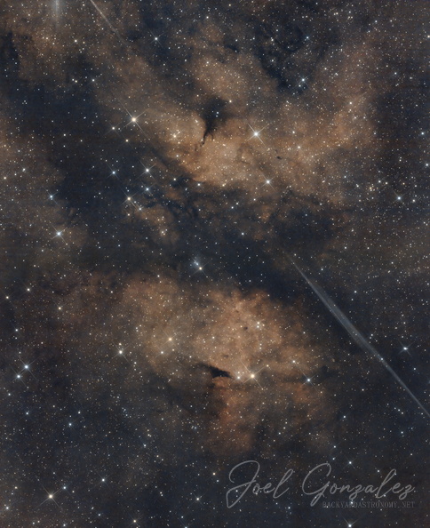 IC1318_Mosaic.jpg