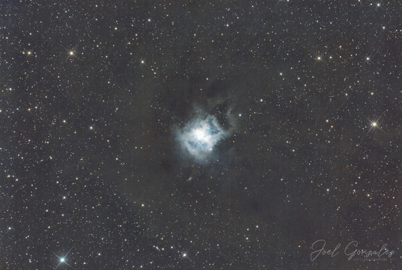 Iris Nebula