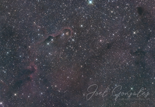 Elephant Trunk Nebula IC1396