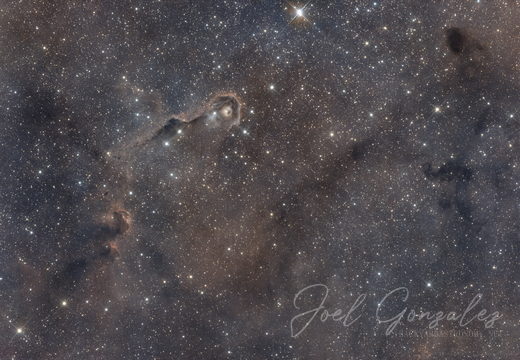 Elephant Trunk Nebula IC1396