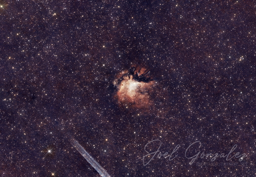 Nautilus Nebula