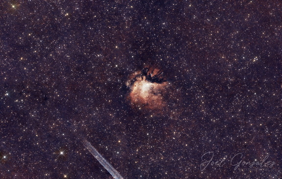 Nautilus Nebula