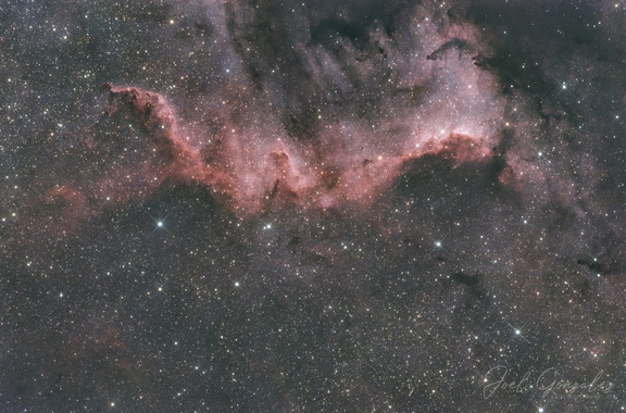 Cygnus Wall