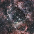 Rosette Nebula