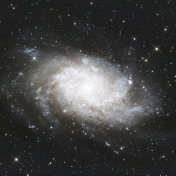 M33 (Triangulum Galaxy)