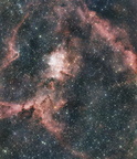 Heart Nebula Mosaic