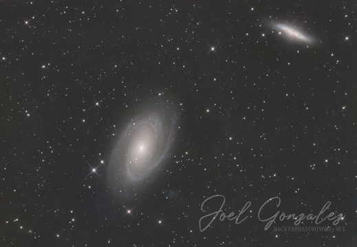 M81
