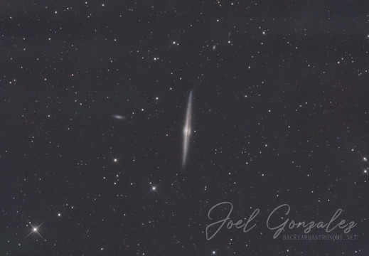 NGC4565