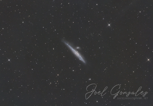 NGC4631