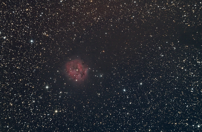 IC5146_10282013