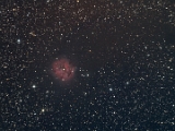 IC5146_10282013.jpg